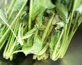 ほうれん草のお浸し＊たっぷりのお出汁で作り方2写真