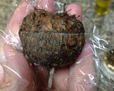 せいろ蒸しもう一品「蒸し里芋」きぬかずぎ作り方1写真