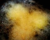 手作りがんもどき＊揚げたて最高です♪作り方5写真