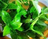 簡単バジルペイスト（ジェノペーセ用）作り方1写真
