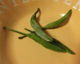 香る美味しいガパオごはん作り方5写真
