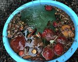 旦那レシピ落葉（らくよう）きのこの下処理作り方5写真