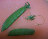 あっさり!! いかと彩り野菜の塩炒め作り方3写真