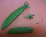 あっさり!!　いかと彩り野菜の塩炒め作り方3写真