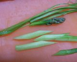 あっさり!! いかと彩り野菜の塩炒め作り方5写真