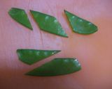 あっさり!! いかと彩り野菜の塩炒め作り方4写真