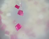 女のロマンだ！秋味絶品塩味さつまいもご飯作り方9写真