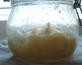 話題の発酵調味料♪塩レモン作り方12写真