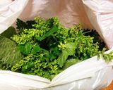 しその実の塩漬け（保存用に最適作り方1写真