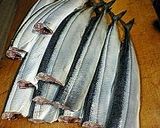定番サンマの甘露煮作り方1写真