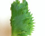 簡単 小鉢♪ 胡瓜とワカメのツナマヨ和え作り方4写真