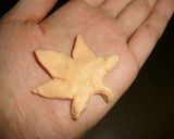 子どもと作ろう☆紅葉狩りぜんざい作り方18写真