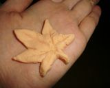 子どもと作ろう☆紅葉狩りぜんざい作り方20写真