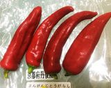 万願寺とうがらし♡南蛮漬け作り方1写真