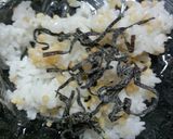 塩昆布と揚げ玉のおにぎり作り方2写真