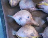 焼き芋で作る芋きん　おうちで老舗の味　作り方1写真