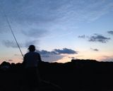 シマダイ塩焼き作り方1写真