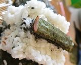 日本エレキテル連合巻寿司ダメよ～ダメダメ作り方12写真