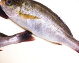 飛び散らない！魚の鱗取り作り方4写真