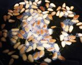 セロリとさきいかの和え物？サラダ？作り方4写真