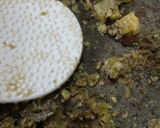 渋皮煮がまるごとたっぷり!栗モンブラン作り方14写真