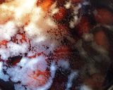 栗の渋皮煮☆毎年恒例☆甘さ控えめ作り方3写真