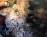 栗の渋皮煮☆毎年恒例☆甘さ控えめ作り方4写真