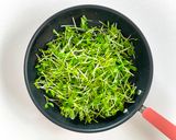 アンチョビにんにくオリーブ油で和えた豆苗作り方4写真