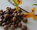 むかごの保存作り方1写真