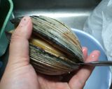 ホッキ貝の開き方作り方5写真