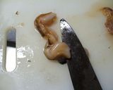 ホッキ貝の開き方作り方15写真