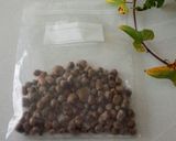 むかごのおつまみ～塩味で作り方1写真