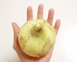 新玉葱のサラダ2種作り方10写真