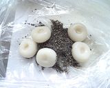 メープル入り黒ゴマ白玉作り方9写真