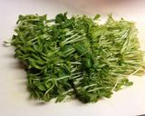 《簡単♪小鉢》豆苗の桜海老炒め作り方1写真