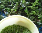 しその実の佃煮作り方1写真