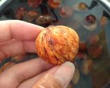 簡単！栗の皮剥き^ ^包丁要らず作り方6写真
