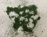 レモンバームの保存方法作り方6写真