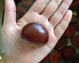 栗の鬼皮剥きませう。作り方1写真