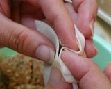 タレがいらない!?おいしい餃子作り方9写真
