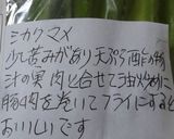 四角豆の肉巻き作り方2写真