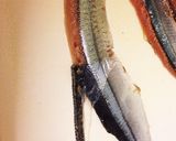 〆サンマと〆サンマ炙り。作り方5写真