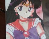 キャラケーキ☆セーラーマーズ作り方1写真
