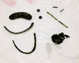 キャラ弁♡ウィスパーとおならずもの！簡単作り方5写真