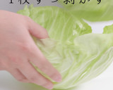 1枚でも簡単！キャベツ千切りの裏技作り方4写真