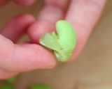 百聞は一食に如かず♡ずんだもち(おはぎ)作り方3写真