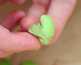 百聞は一食に如かず♡ずんだもち(おはぎ)作り方3写真