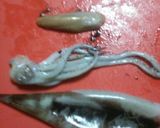 お酒のつまみに☆イカとネギのわた炒め作り方1写真