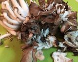 ★簡単★キノコの煮込みうどん作り方2写真