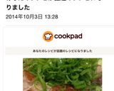 ガッツリでもさっぱり✩鶏ももの葱ポンのせ作り方11写真
